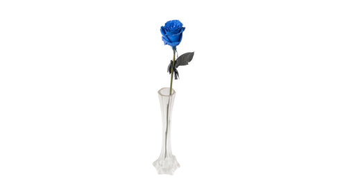 Exklusive blaue Rose in Glasvase als außergewöhnliche Schnittblume von FLORÉ Blumen Hamburg.