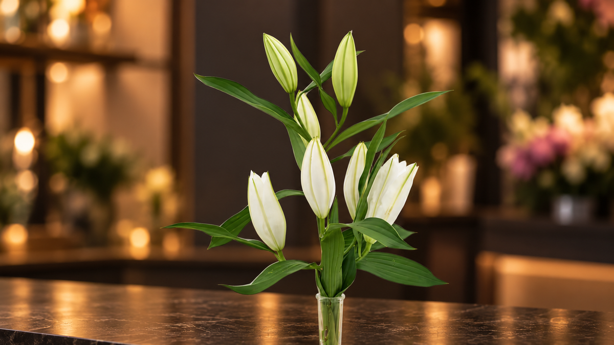 Weiße Lilien – Elegante Schnittblumen