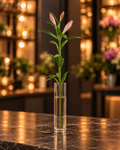 Einzelner Lilienstiel mit rosa Knospen und länglichen grünen Blättern