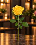 Einzelne gelbe Rose mit grünem Stiel und Blättern vor warmem FLORÉ Hintergrund