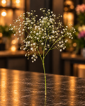 Ein verzweigter Schleierkrautstiel mit kleinen weißen Blüten vor warmem FLORÉ Hintergrund